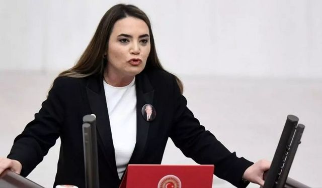 Meclis’te “Öcalan serbest bırakılsın” talebine Türkeş’ten sert yanıt