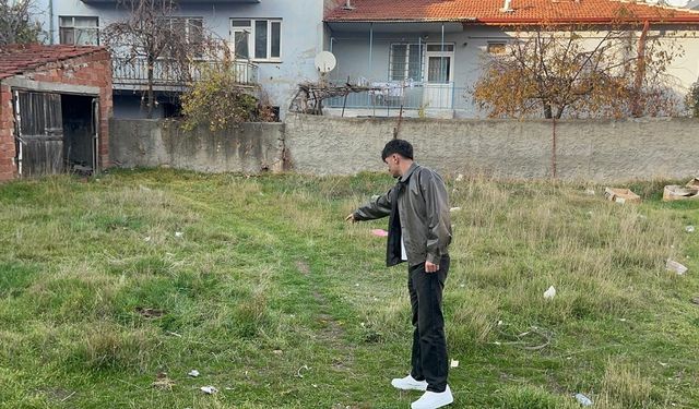 Boş arsada 8 tane ölü kedi bulundu: Herkes şok oldu!