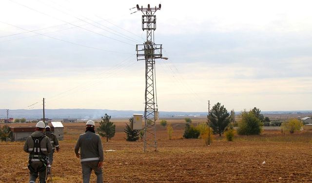 DEDAŞ Şanlıurfa’daki kaçak elektrik kullananları açıkladı!