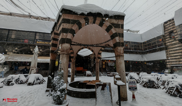 Diyarbakır'da kar yağışı etkili oldu: Ticaret resmen durdu!