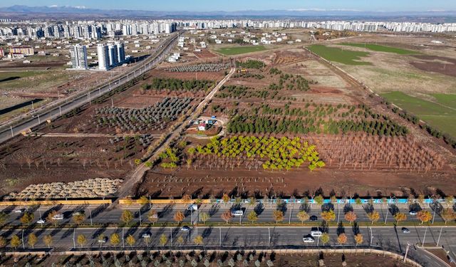 Diyarbakır’ın en büyük parkında çalışmalar başladı: İşte adresi