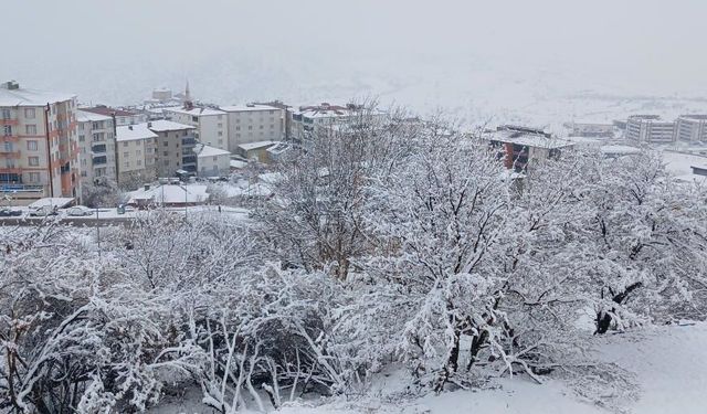 GÜNCEL