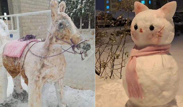 Diyarbakır'da 'kardan adam' yarışması: Kazananlar belli oldu!