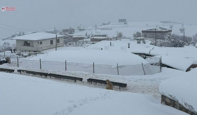 Diyarbakır'da köy yolları kapalı: Yetkililere acil çağrı!