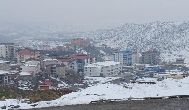 Diyarbakır’da yüksek kesimlere kar yağdı: Beyaza bürüdü