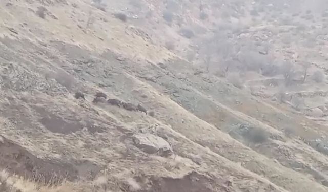 Diyarbakır’da “nüfusları hızla artıyor” diyerek isyan etti: Çağrıda bulundu