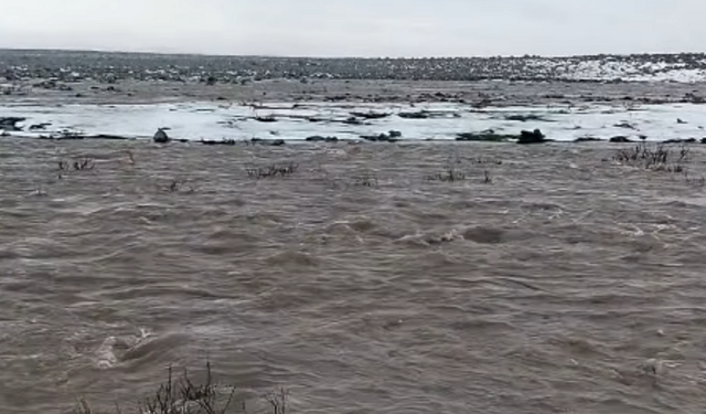Karacadağ’da beyaz örtü çözülüyor: Bereket sel olup akıyor!