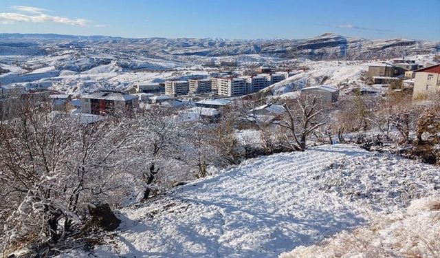 Diyarbakır'ın en çok kar yağan ilçesi oldu: Son yılların en sert kışı