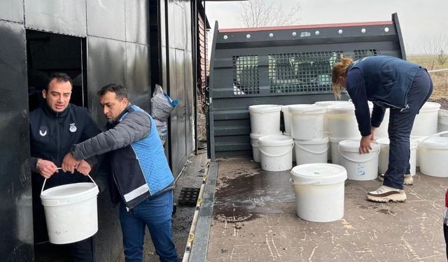 Diyarbakır’da esnafa rekor ceza: 460 kilo peynir imha edildi