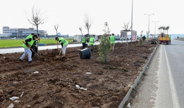 Diyarbakır’ın girişleri yenileniyor: Mardin yolu daha modern