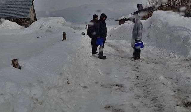 Hakkari'de eşekte kuduz tespit edildi, köy karantinaya alındı