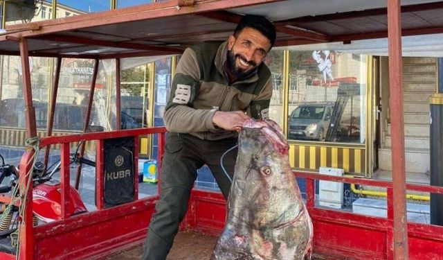 Diyarbakır’da gören şaşırdı: Tam 100 kiloluk balık yakalandı!