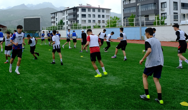 AMEDSPOR