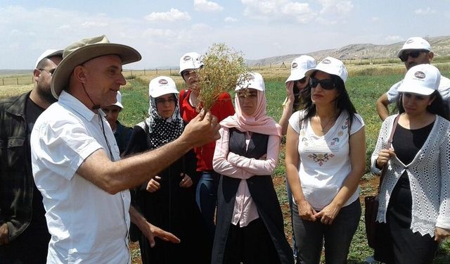 DİCLE ÜNİVERSİTESİ