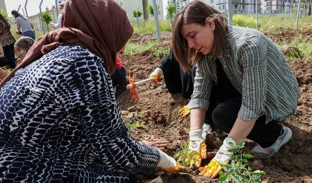 Diyarbakır’ın kent bostanı kuruldu: Kadınlara iş kapısı olacak