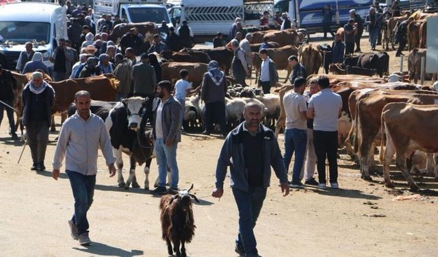 Diyarbakır kurbanlık pazarlığı sıkılaştı: Fiyatlar cüzdanları zorluyor!