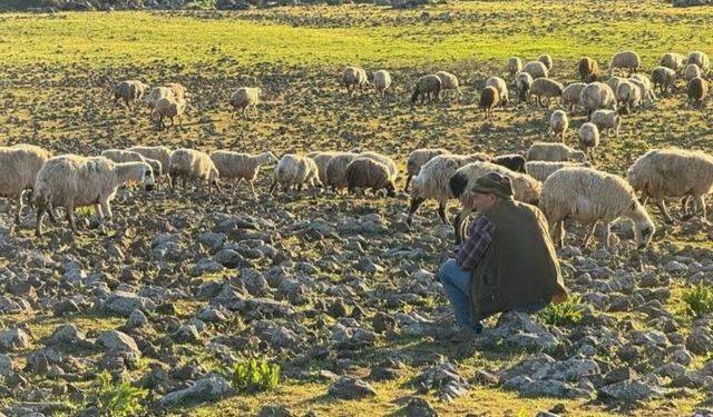 Diyarbakır'da Koçerlerin zorlu yolculuğu başladı
