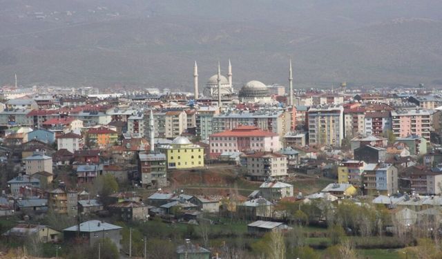 Bingöl'de aynı hastalıktan 30 kişi öldü!