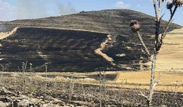 Diyarbakır'da ekili arazilerde yangın: Helikopter çağrısı yapıldı!