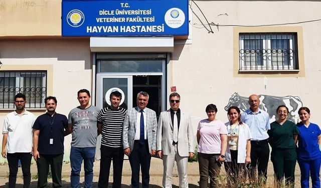 DİCLE ÜNİVERSİTESİ