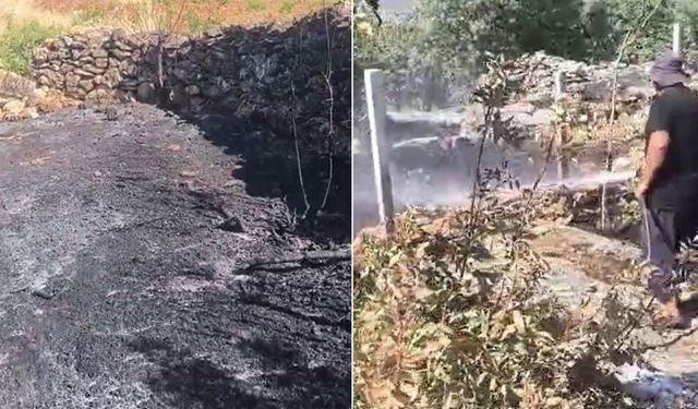 Dicle'deki yangında onlarca meyve ağacı kül oldu!