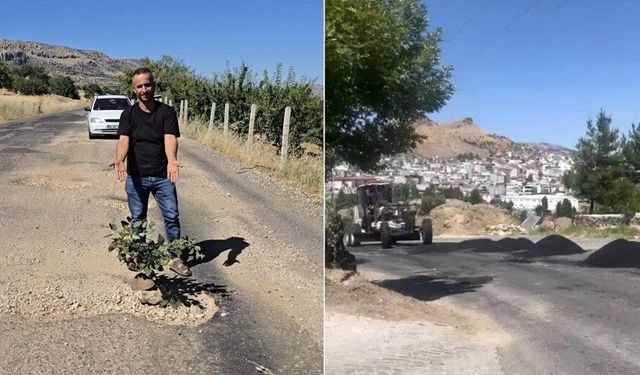 Diyarbakır’da 'ağaçlı' protesto sonuç verdi: Çalışmalar başladı!