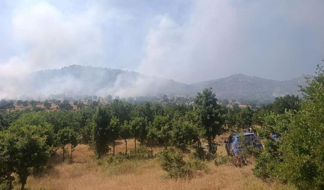 ÇÜNGÜŞ