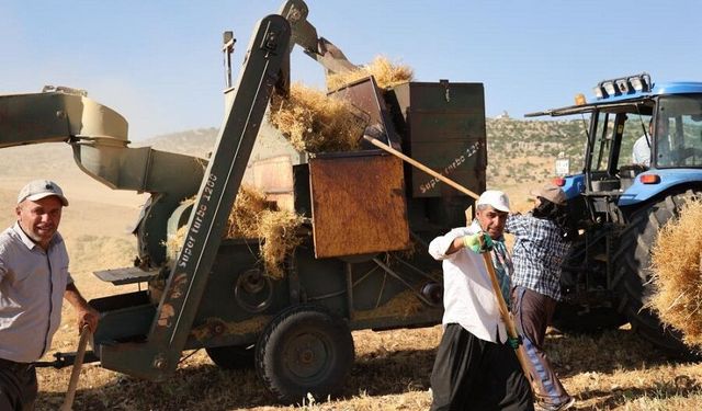 Diyarbakır’da 40 derecede hasat: Hissedilen 50