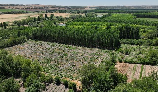 Hevsel'e can suyu: 1 kilometrelik sulama kanalı hizmete girdi