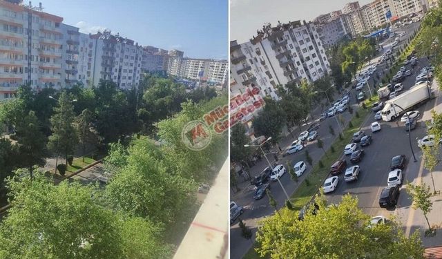 Diyarbakır’da 19 yıllık ağaçlar söküldü: Sebebi belli oldu!