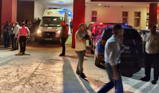 Diyarbakır’da bir inek sahibini ağır yaraladı!