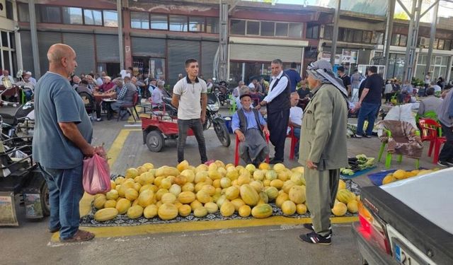 Çermik'in ‘sarı lezzeti’ tezgâhlara indi: Kilosu 15 TL