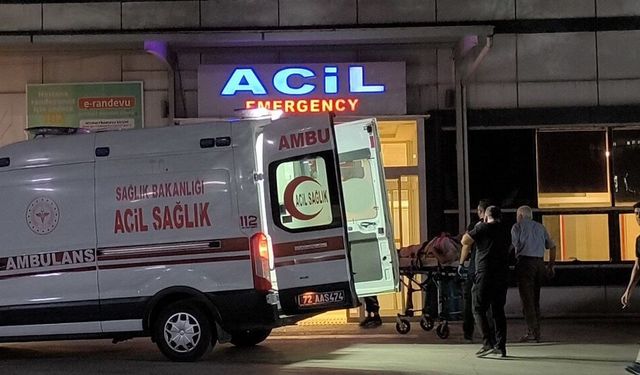 Hasankeyf’te trafik kazası: Çok sayıda yaralı var!
