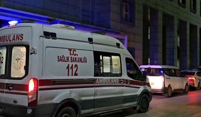Fındık işçileri kaza yaptı: Çok sayıda ölü ve ağır yaralı var!