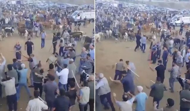 Diyarbakır hayvan pazarında kavga: Taş ve sopalarla birbirlerine girdiler!