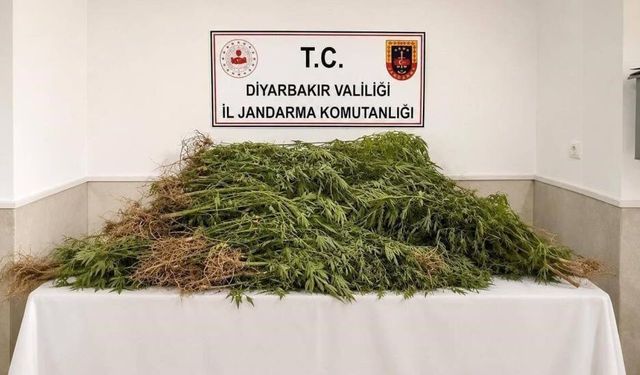 SON DAKİKA