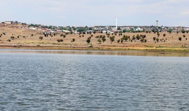 Diyarbakır’da “su olmazsa hayvancılık yapamayız” dediler: O köy suya kavuştu!