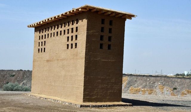 DİCLE ÜNİVERSİTESİ