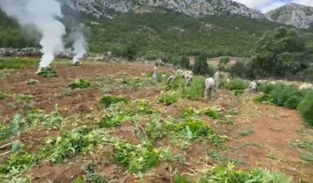 Diyarbakır'da dev operasyon: Hava destekli yapıldı, yüzlerce kişi katıldı!