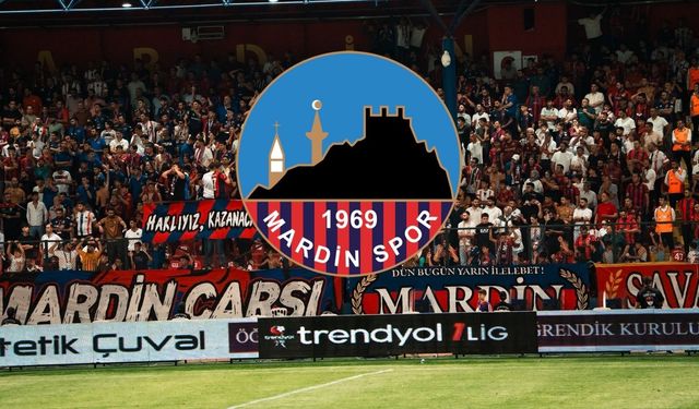 AMEDSPOR