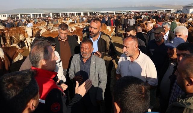 Şap yayılıyor: Hayvan pazarları kapatıldı