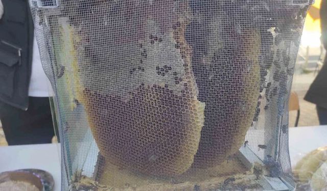 Rekor kırıldı: 1 kilo Sason balı 400 bin liraya satıldı