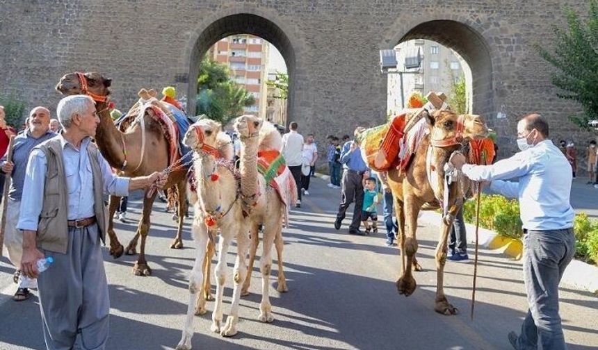 Diyarbakır Karpuz Festivali yarın başlıyor