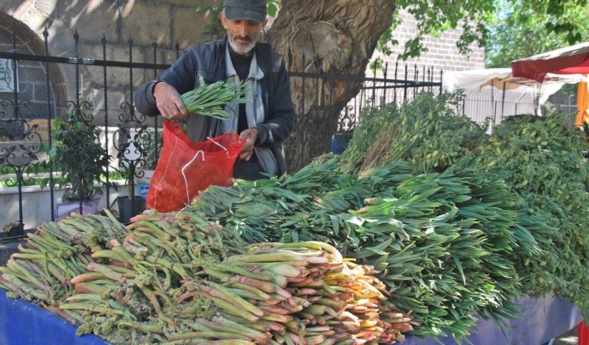 camda soyunan kadınlar