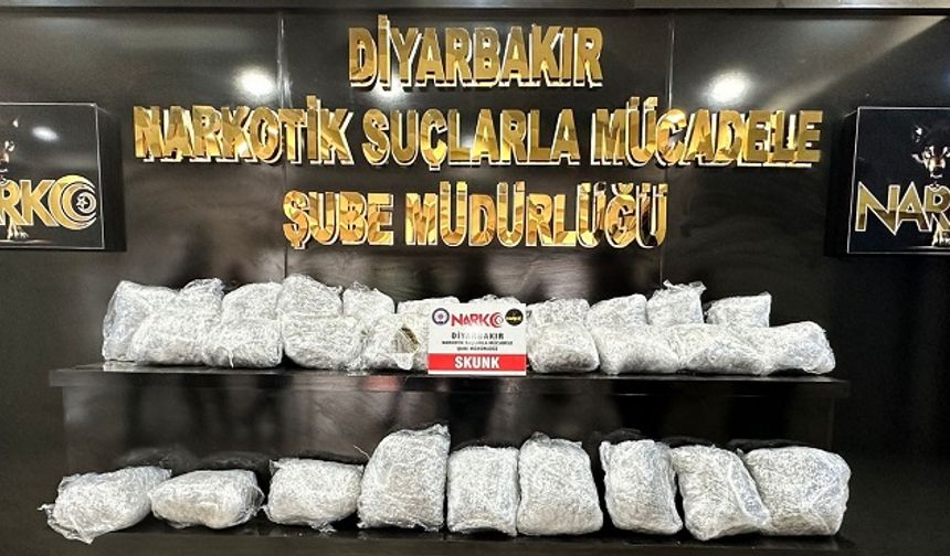Diyarbakır’da operasyon: 29 tutuklama
