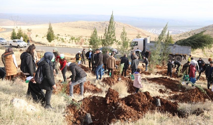 Diyarbakır’a 10 bin yeni fidan