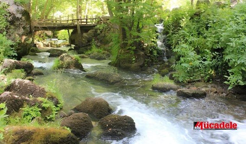Diyarbakır'ın en güzel köyünde piknik yapmak yasaklandı!