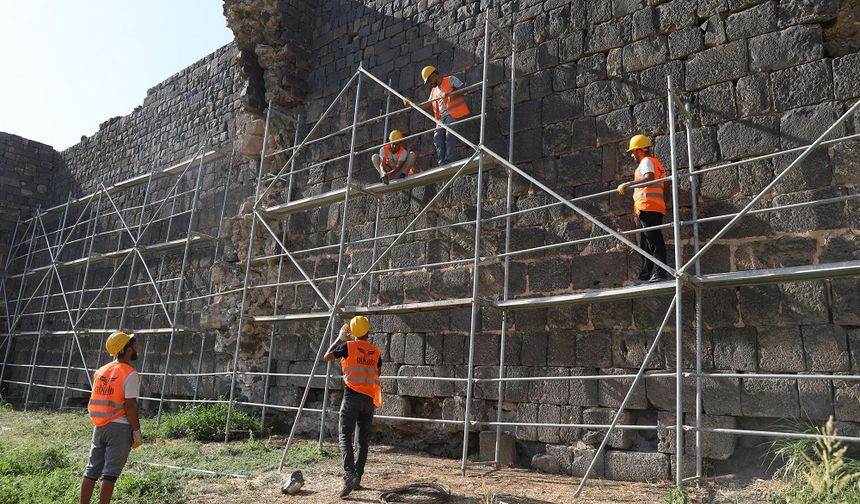 Diyarbakır Surlarındaki restorasyon durdurulsun çağrısı