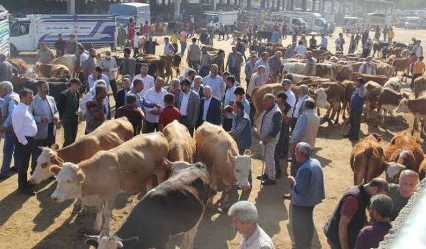 Diyarbakır’a yeni hayvan pazarı: Hizmete hazır, işte adresi!