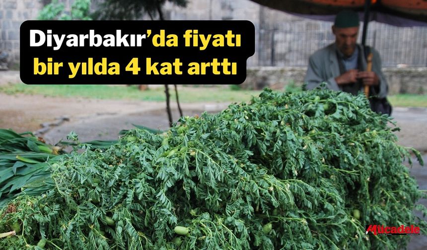 Diyarbakır’da fiyatı bir yılda 4 kat arttı!